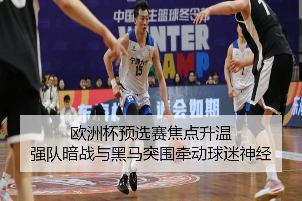 欧洲杯预选赛焦点升温 强队暗战与黑马突围牵动球迷神经